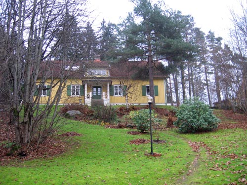 Trädgård i förändring med tall och gran, gungan borta och ett fällt körsbärsträd – mer sol på uteplatsen för rhododendron, hortensia och stjärnmagnolia samt ökad biologisk mångfald.