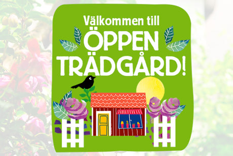 Privat trädgård under Öppen Trädgård med Land – inspirerande trädgårdsevenemang i Sverige; personligt utformad hemträdgård öppen gratis för besökare 12–18 med god parkering; anmälan kräver bild av hela trädgården.