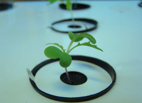 Venso Mini Plant Factory för hydroponisk odling inomhus med LED‑växtlampa (blått/rött ljus), planteringsbricka, 8 L vatten- och näringsbehållare, timer och styrenhet – odla bladgrönsaker, örter och groddar året runt.