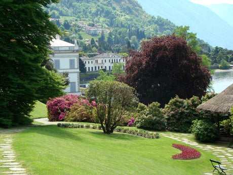 Översikt över Villa Melzi vid Comosjön i Bellagio – engelsk trädgård med japansk del, hamlade plataner, rhododendron och azalea samt orangeri från Napoleontiden.