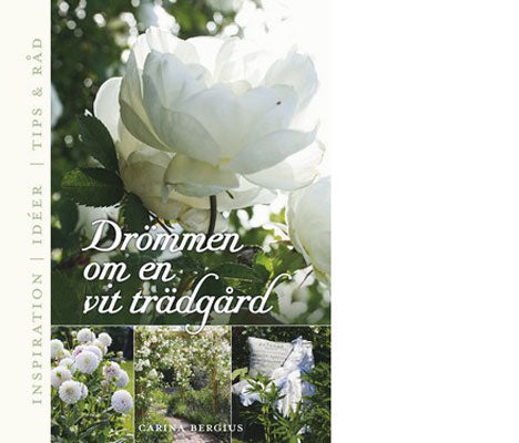 Vit trädgård med vita blommor och silvrigt bladverk – Sissinghurst-inspirerad design ur Drömmen om en vit trädgård av Carina Bergius, med odlingstips och skötselråd