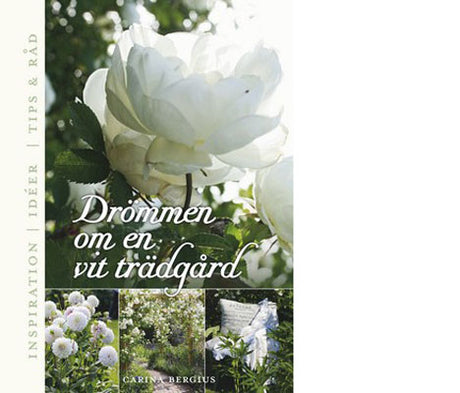 Vit trädgård med vita blommor och silvrigt bladverk – Sissinghurst-inspirerad design ur Drömmen om en vit trädgård av Carina Bergius, med odlingstips och skötselråd