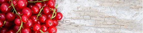 Frukt & bärbuskar