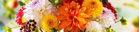 Fröer till Snittblommor & Buketter