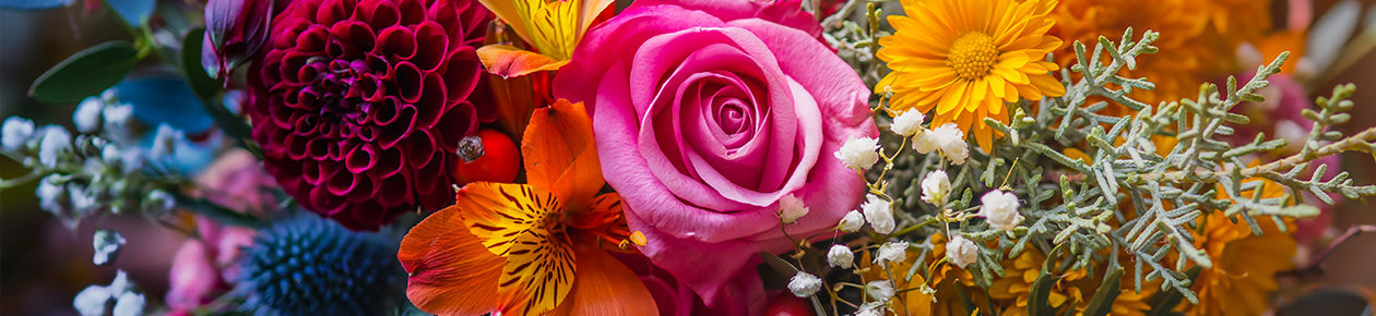 Blomsterfröer