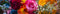 Blomsterfröer