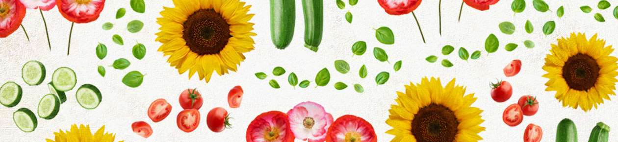Ekologiska Blomsterfröer
