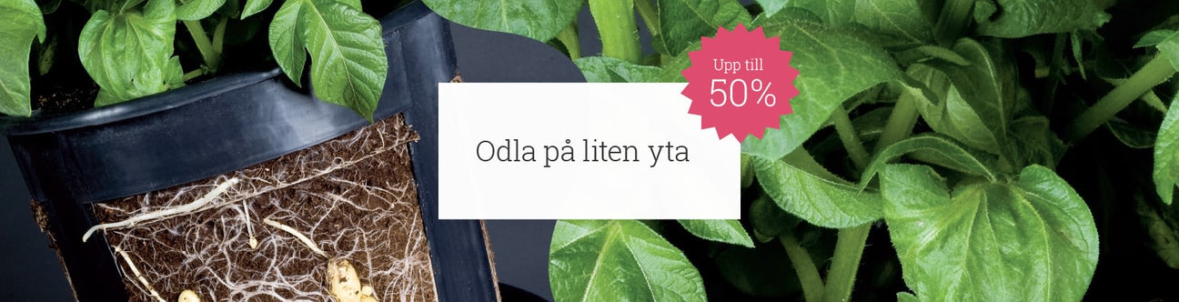 Inredning på balkong & terrass