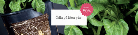 Inredning på balkong & terrass