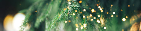 Jul i november - REA