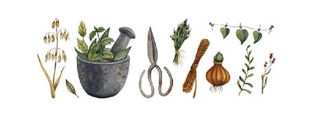 Skörd- & Floristredskap