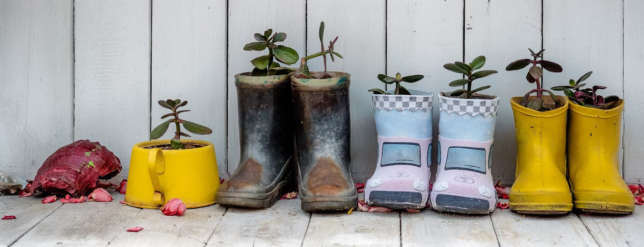 Trädgårdsdekorationer