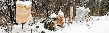 Vinterförvaring & Vinterskydd