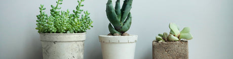 Cementkrukor