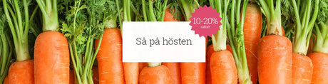 Höstsådd