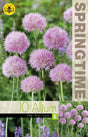 Allium, Klotlök 'Rosy Dream' 10st