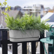 Greenville Easy Balcony 52cm - Living Concrete