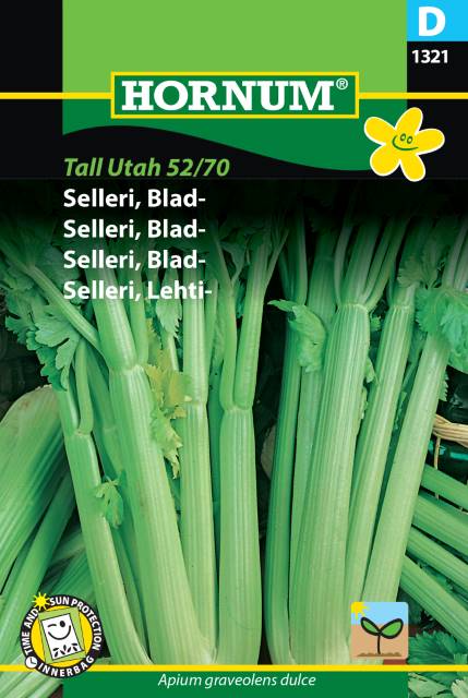 Bladselleri 'Tall Utah 52/70' frö