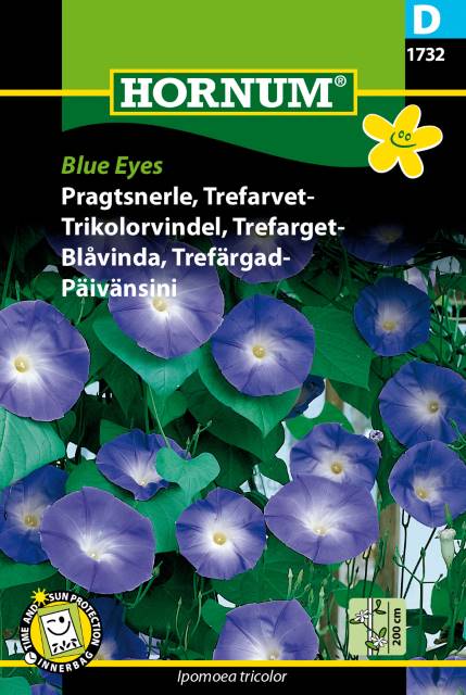 Blåvinda 'Blue Eyes' frö