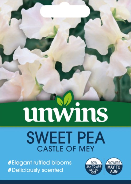 Luktärt 'Castle Of Mey'