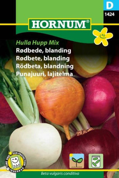 Rödbeta 'Hulla Hupp' Mix