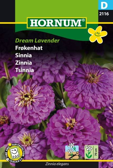 Zinnia 'Dream Lavender'