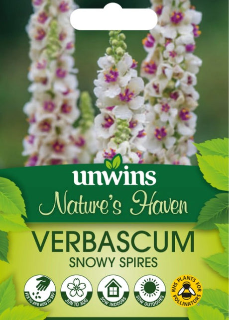 Kungsljus 'Snowy Spires'