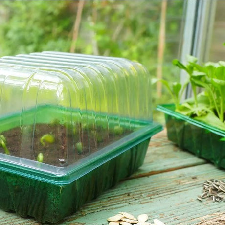 Lock till 'Standard Seed Tray' 1st