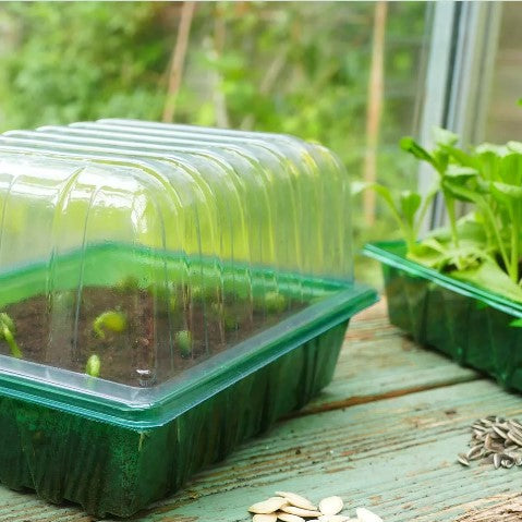 Lock till 'Standard Seed Tray' 1st
