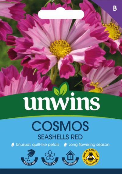 Rosenskära 'Seashells Red'