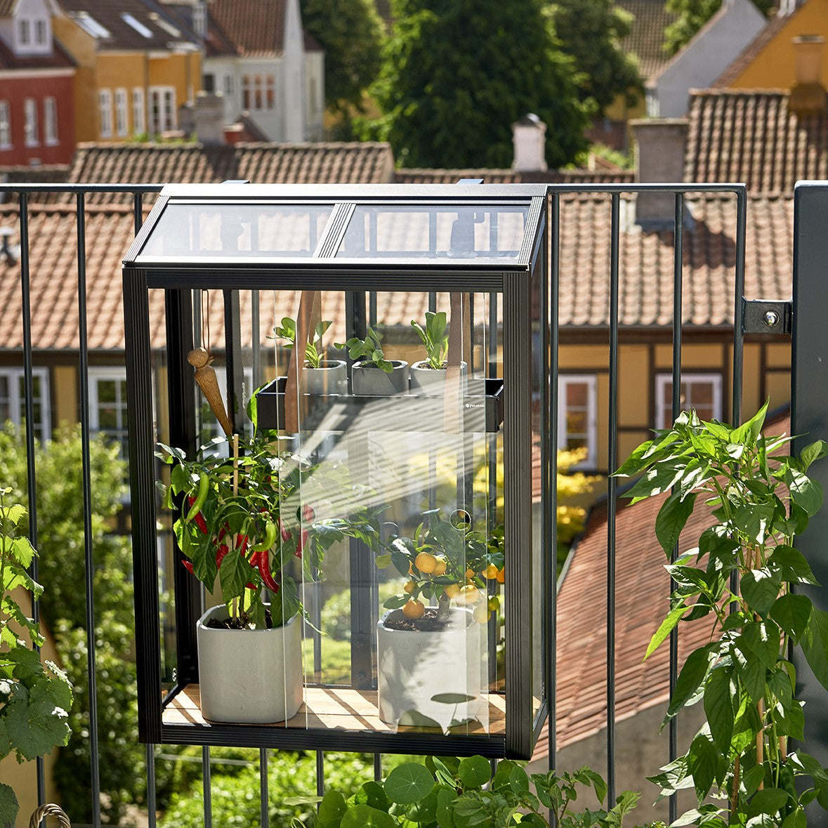 Odlingsskåp 'Balcony' Härdat glas