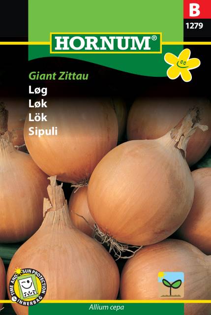 Lök 'Giant Zittau' frö