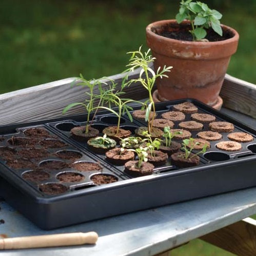 Odlingstråg 'Solid' med Minipluggbrätte 23 x 37cm