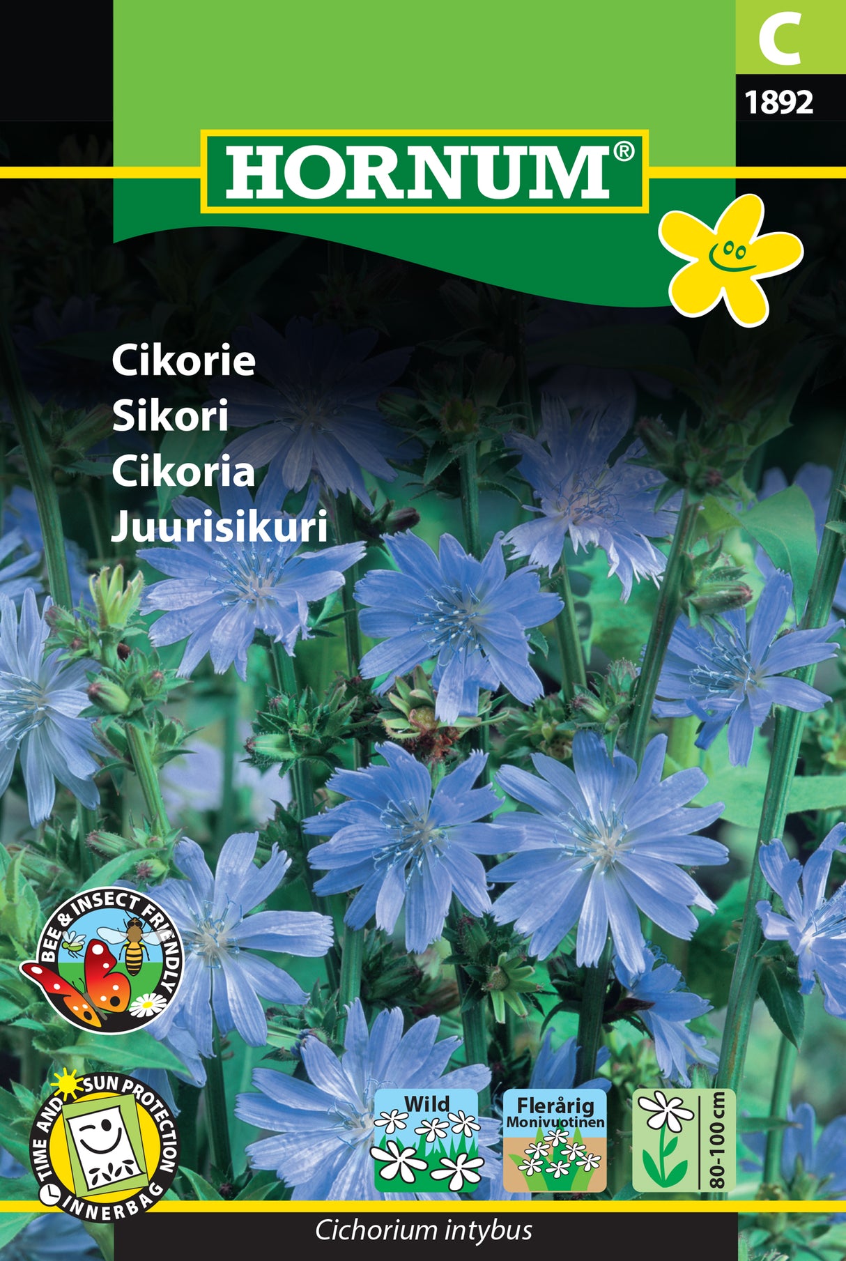 Cikoria frö
