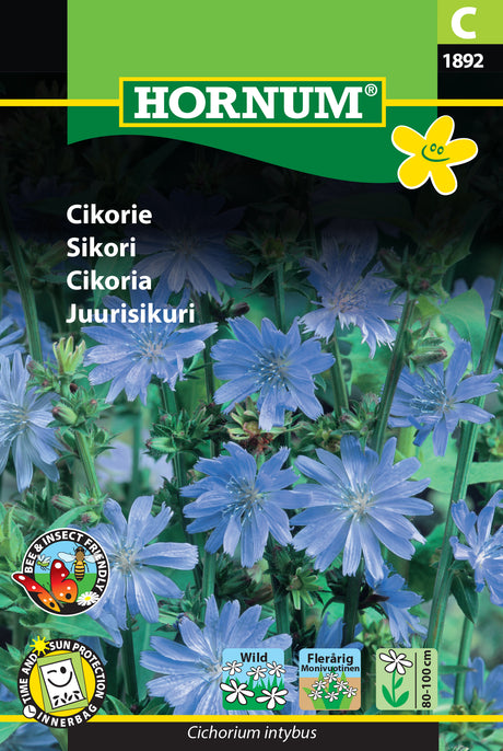 Cikoria frö