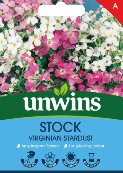 Strandlövkoja 'Stardust' Mix