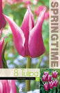 Liljetulpan 'Claudia' 8st