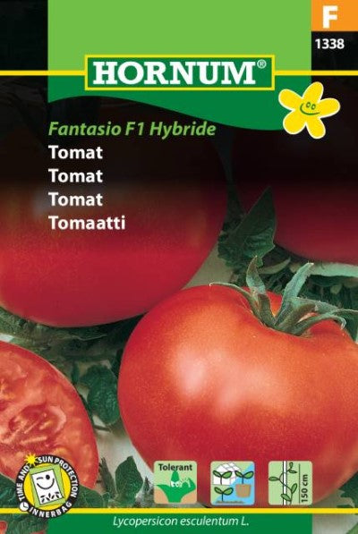 Tomat 'Fantasio' F1