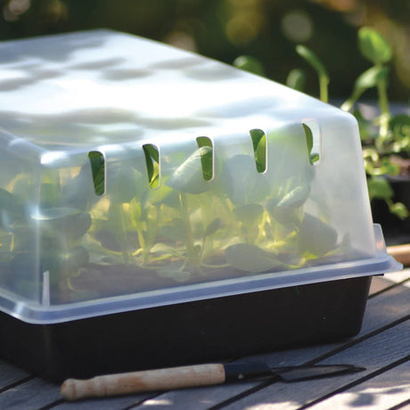 Lock till Odlingstråg 'Solid'