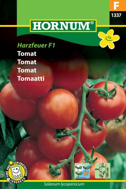 Tomat 'Harzfeuer' F1