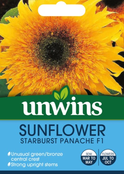 Solros Pollenfri 'Starburst Panache' F1