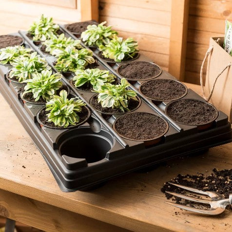 Krukset Rund med 18st 9cm planteringskrukor