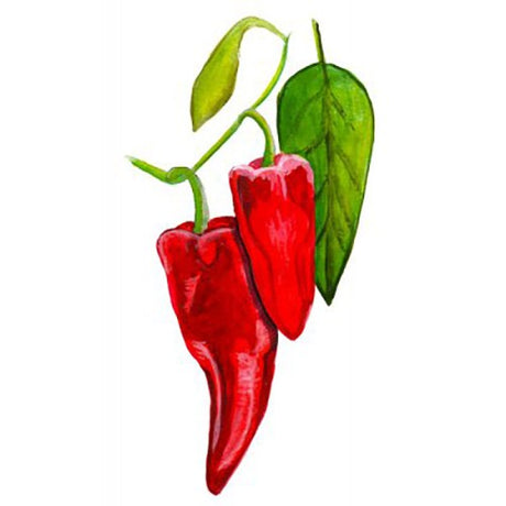 Chili 'Ezpeleta' Svenskodlat frö