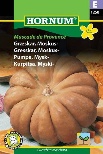 Butternutpumpa 'Muscade de Provence' frö