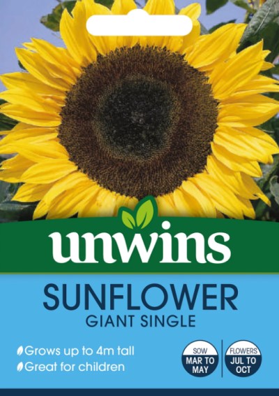 Solros 'Giant Single'