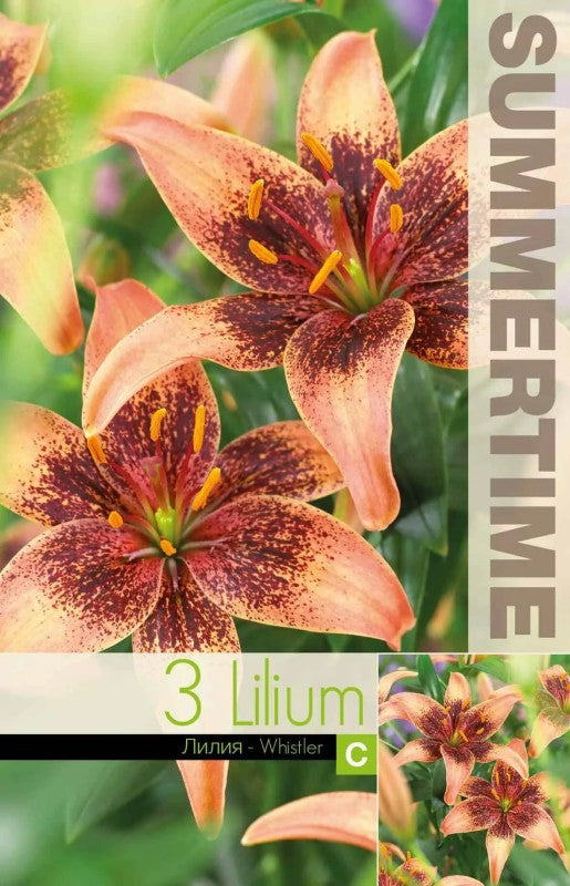 Lilja 'Whistler' 3st