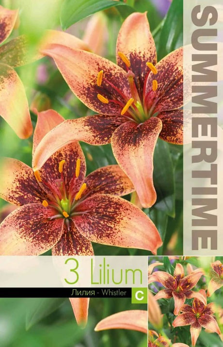 Lilja 'Whistler' 3st
