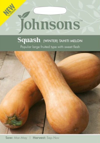 Butternutpumpa 'Tahiti Melon'