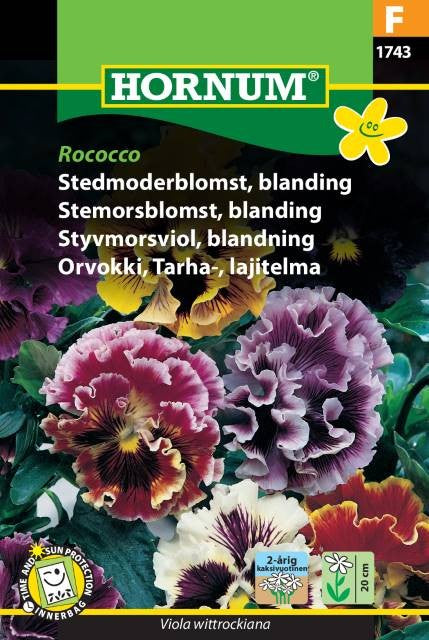Styvmorsviol 'Rococo'