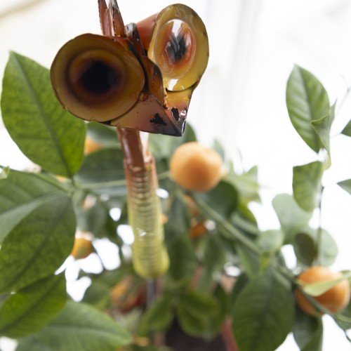 Sticks Fågel 85cm Grön